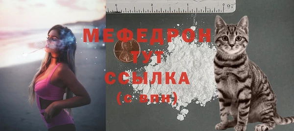 гидра Заводоуковск
