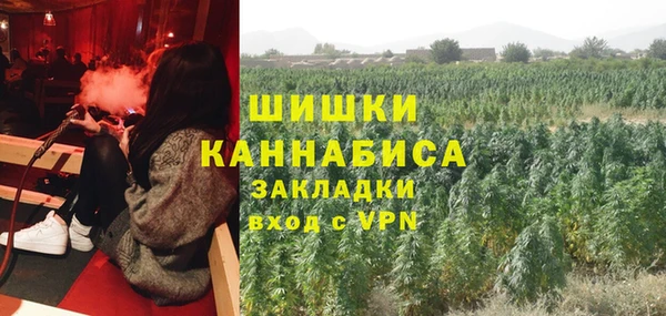 бутират Алзамай
