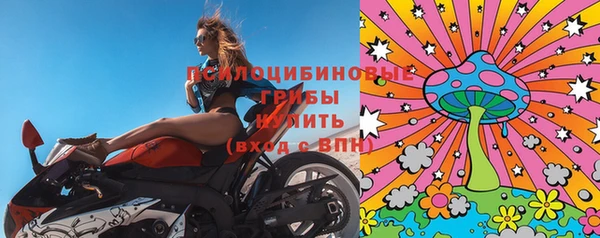 бутират Алзамай