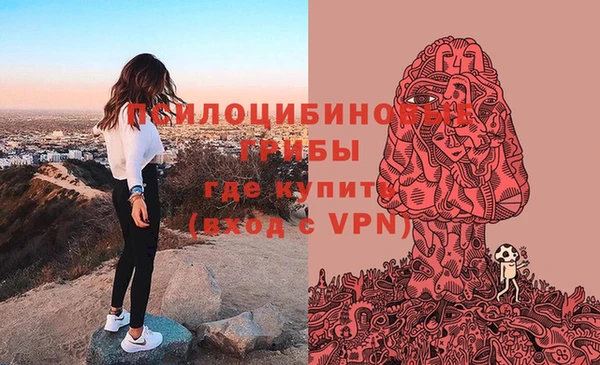 каннабис Алексин