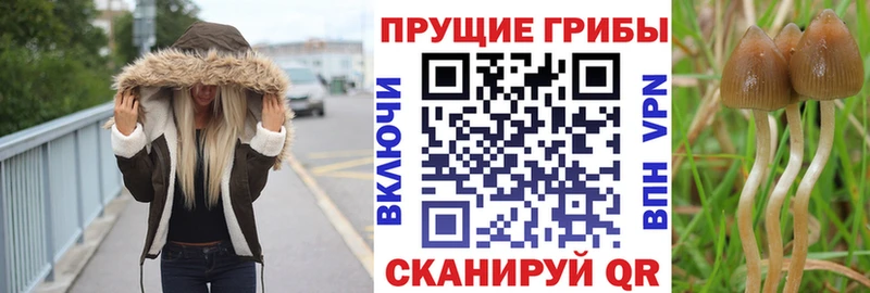 Галлюциногенные грибы прущие грибы  Фатеж 